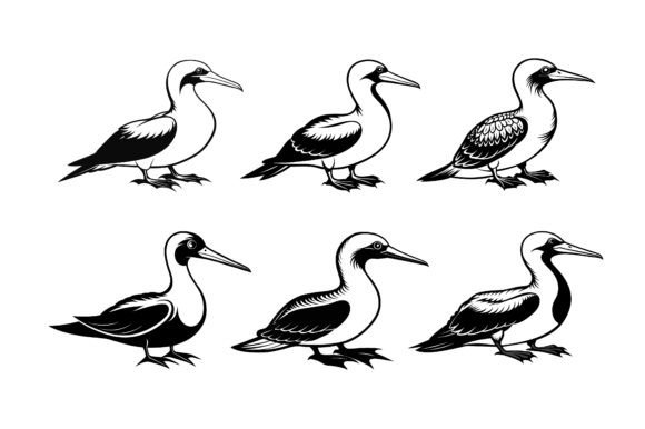 Gannet Outline Silhouette Vector Bundle: A Strategic Asset for Versatile Branding and Design