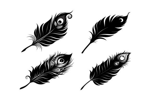 Peacock Feather Black Silhouette Vector