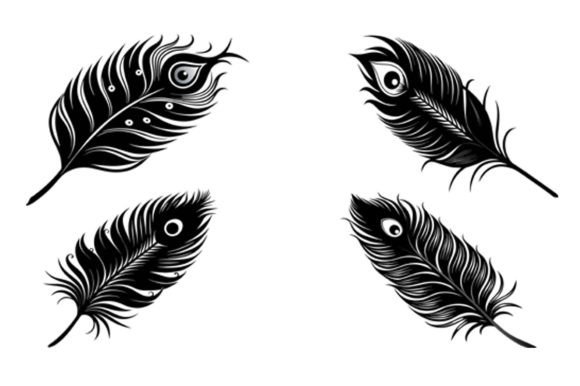 Peacock Feather Vector Design for Creators