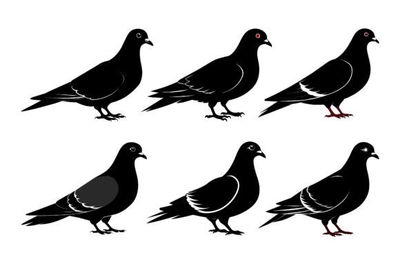 Pigeon Black Silhouette Vector Bundle: A Versatile Design Resource for Creative Projects