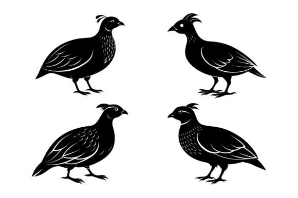 Quail Black Silhouette Vector Design: A Versatile Solution for Modern Creatives